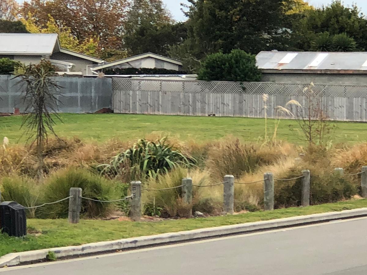 Cozy Cozy Guest House Christchurch Esterno foto